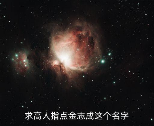 求高人指點金志成這個名字