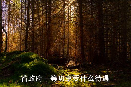 省政府一等功享受什么待遇