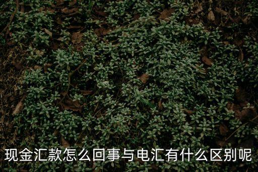 現(xiàn)金匯款，現(xiàn)金匯款怎么回事與電匯有什么區(qū)別呢