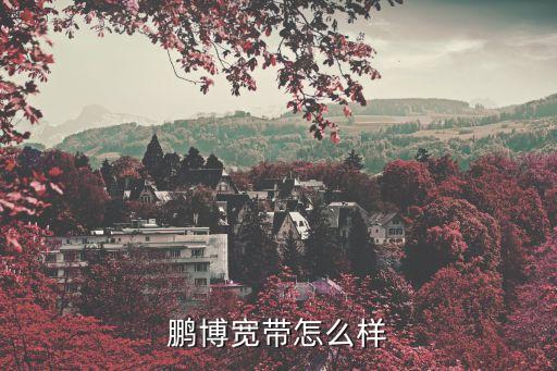 鵬博寬帶怎么樣