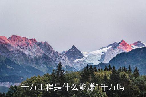 千萬工程，千萬工程是什么能賺1千萬嗎