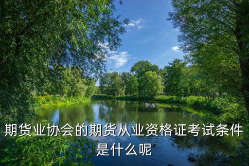 期貨從業(yè)協(xié)會(huì)，期貨業(yè)協(xié)會(huì)和別的協(xié)會(huì)有什么區(qū)別