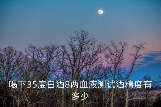 8兩白酒什么水平，八兩白酒在吧里什么水平