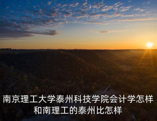 南京理工大學(xué)泰州科技學(xué)院會計學(xué)怎樣和南理工的泰州比怎樣
