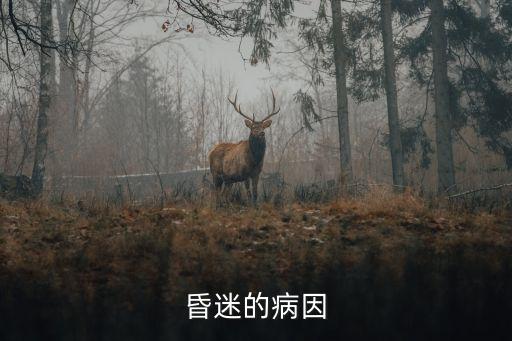 昏迷的病因