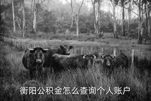 衡陽市住房公積金，衡陽住房公積金提取條件有哪些