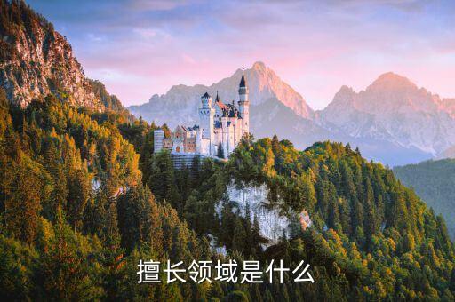 擅長領(lǐng)域是什么