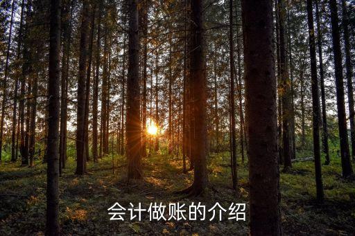 會(huì)計(jì)做賬，會(huì)計(jì)做賬步驟
