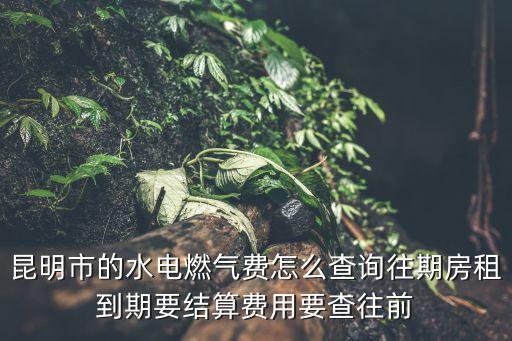 昆明市的水電燃氣費怎么查詢往期房租到期要結(jié)算費用要查往前
