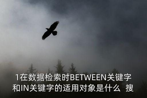 1在數(shù)據(jù)檢索時(shí)BETWEEN關(guān)鍵字和IN關(guān)鍵字的適用對(duì)象是什么  搜