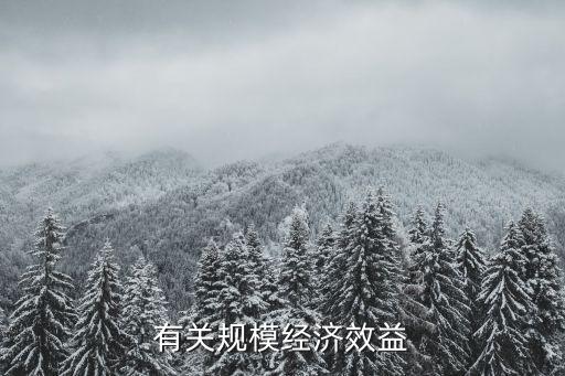 規(guī)模經(jīng)濟(jì)效益，什么叫規(guī)模經(jīng)濟(jì)效益