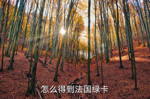 法國綠卡，如何能拿到法國綠卡除了找一個法國丈夫或老婆外