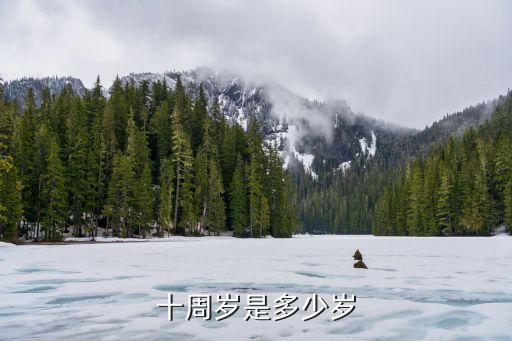 十周歲，十周歲是多少歲