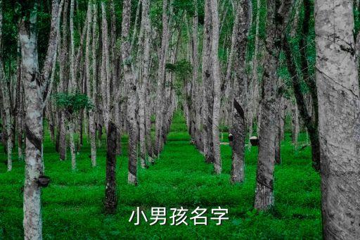 小男孩名字