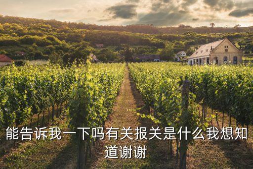能告訴我一下嗎有關(guān)報關(guān)是什么我想知道謝謝
