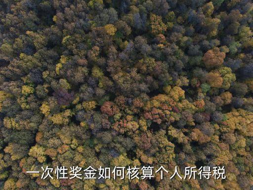 一次性獎(jiǎng)金如何核算個(gè)人所得稅