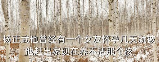 楊正武，楊正武他曾經(jīng)有一個(gè)女友懷孕幾天就被他趕出家現(xiàn)在養(yǎng)不活那個(gè)孩
