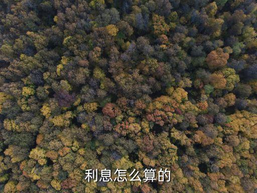 利息如何計(jì)算，利率怎么算利息