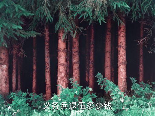 當兵退伍費，義務(wù)兵退伍費是多少