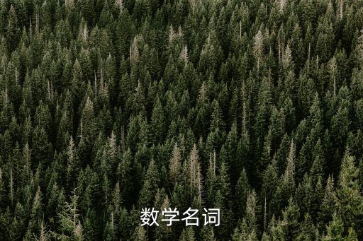 超限數(shù)，數(shù)除了復(fù)數(shù)還有別的數(shù)嗎