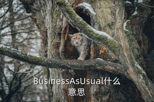 BusinessAsUsual什么意思