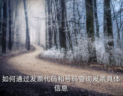 發(fā)票詳情，如何通過發(fā)票代碼和號碼查詢發(fā)票具體信息