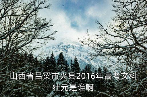 王芳芳，山西省呂梁市興縣2016年高考文科壯元是誰(shuí)啊