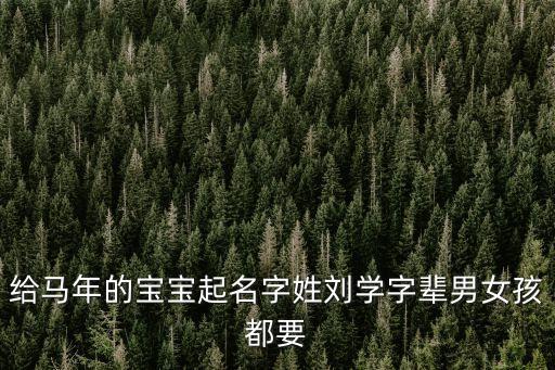 給馬年的寶寶起名字姓劉學字輩男女孩都要