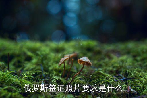 俄羅斯簽證照片要求是什么