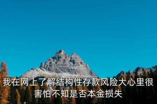 我在網(wǎng)上了解結(jié)構(gòu)性存款風(fēng)險(xiǎn)大心里很害怕不知是否本金損失