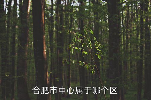 合肥市區(qū)是哪個(gè)區(qū)，合肥市市區(qū)在哪個(gè)區(qū)