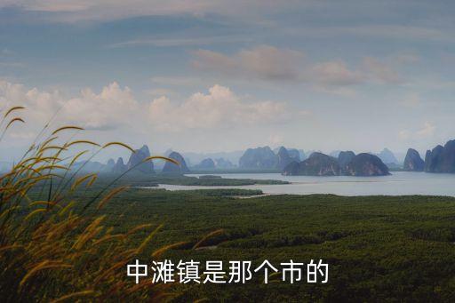中灘鎮(zhèn)是那個(gè)市的