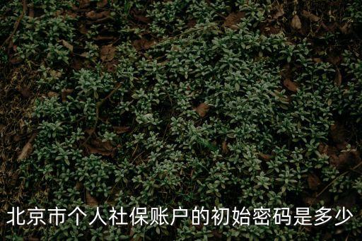 北京醫(yī)?？艽a，北京市個人社保賬戶的初始密碼是多少