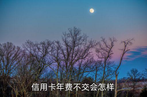 信用卡年費(fèi)不交會(huì)怎樣，中國(guó)工商銀行的信用卡年費(fèi)不繳納會(huì)怎樣