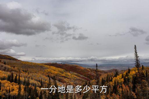 一分地多少平方米，一分地大概有多少平方米