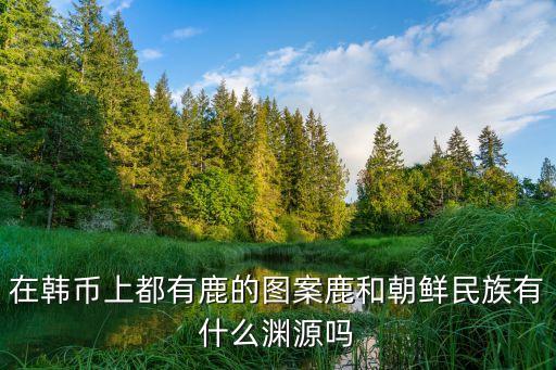 鹿璐，神仙都在兜里揣有多少老婆