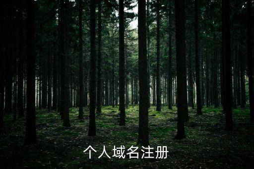 個人域名注冊