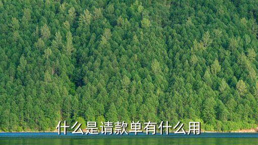請(qǐng)款申請(qǐng)單，怎樣寫(xiě)要款申請(qǐng)