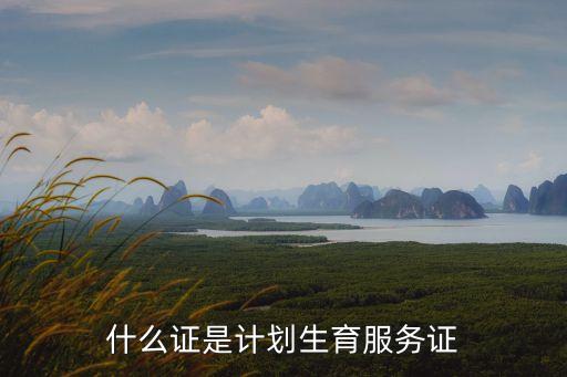 生育服務(wù)證，生育服務(wù)證指什么