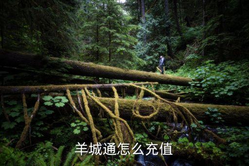 羊城通怎么充值，如何在網(wǎng)上充值羊城通