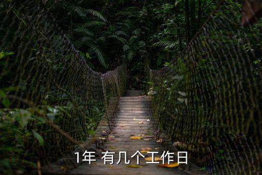 1年 有幾個(gè)工作日