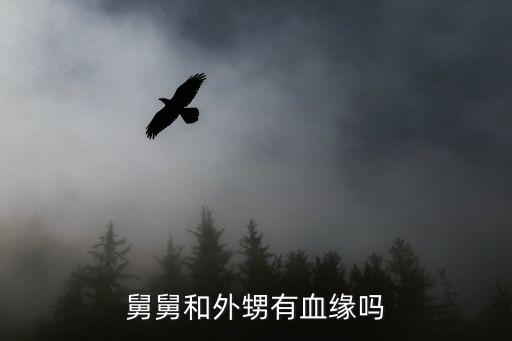外甥舅舅，外甥和舅舅單獨(dú)兩人在一起是不是不太好的
