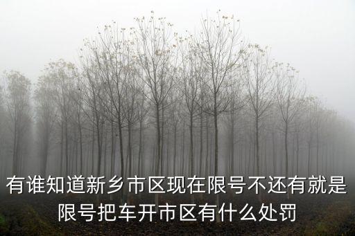 有誰(shuí)知道新鄉(xiāng)市區(qū)現(xiàn)在限號(hào)不還有就是限號(hào)把車開(kāi)市區(qū)有什么處罰
