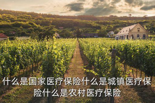 什么是國家醫(yī)療保險什么是城鎮(zhèn)醫(yī)療保險什么是農(nóng)村醫(yī)療保險