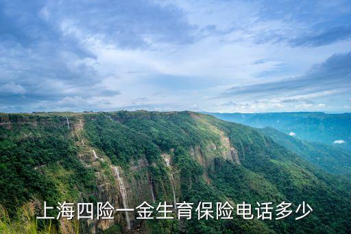 上海四險(xiǎn)一金生育保險(xiǎn)電話多少