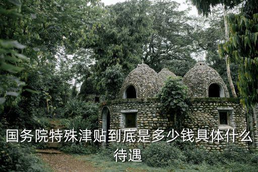 國務(wù)院特殊津貼到底是多少錢具體什么待遇