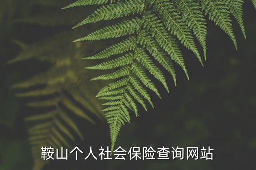 鞍山個人社會保險查詢網(wǎng)站
