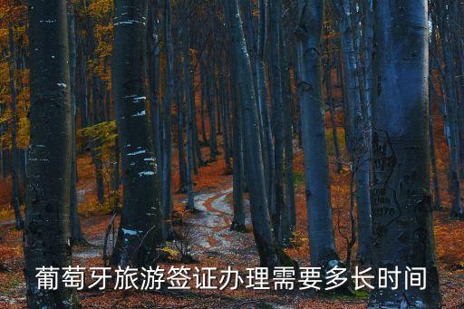 葡萄牙旅游簽證辦理需要多長(zhǎng)時(shí)間