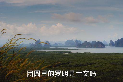 團(tuán)圓里的羅明是士文嗎