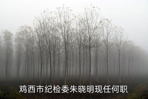 朱曉明，安徽亳州朱曉明是什么樣的人